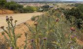 Randonnée Marche Villadangos del Páramo - CC_Frances_CI_21_Villadangos-Paramo_Astorga_20110713 - Photo 4