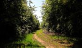 Tour Wandern Trosly-Breuil - en forêt de Compiègne_28_les Tournantes sur le Mont Saint-Mard et sur le Mont Collet - Photo 6