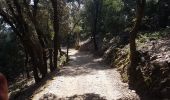 Trail Walking Hyères - Port Cros est - Photo 4