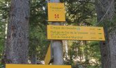 Tour Wandern Pralognan-la-Vanoise - montee au refuge Col de la vanoise - Photo 13