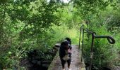 Trail Walking Neufchâteau - Challenge marches chestrolaises Grandvoir 2020 - Photo 5