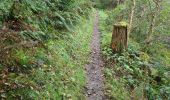 Tour Wandern Bouillon - Les Hayons 2 - Photo 2