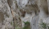 Randonnée Marche Cheval-Blanc - gorge du regalon - Photo 4