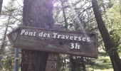Tour Wandern Freissinières - Fressiniere  les Roberts  Lac de la Lauze - Photo 10