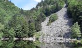 Randonnée Marche La Bresse - Le Hohneck et ses lacs d'altitude - Photo 19