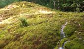 Tocht Stappen Bourg-de-Sirod - Perte de l'Ain 15.7.24 - Photo 2