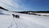 Tocht Stappen Prémanon - B Jura - journée du mercredi 22-01-2020 - Lamoura / Forêt du Massacre - Photo 1