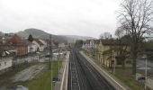 Tocht Te voet Felsberg - Eisenzeitliche Höhensiedlung - Photo 3