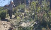 Tocht Stappen La Garde-Freinet - Fort Freinet et les roches blanches - Photo 18