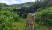 Tocht Stappen Sare - col de lizarrieta et col des 3 bornes - Photo 6