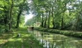 Randonnée Marche Brinon-sur-Sauldre - Quelques ecluses du canal de la Sauldre - Photo 15