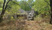 Tour Wandern Châteauneuf-Val-Saint-Donat - CHÂTEAU NEUF VAL SAINT DONAT. Circuit des bories o l s - Photo 6