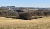 Randonnée Marche Somme-Leuze - dessus vieille -leuze au bochetay - Photo 9