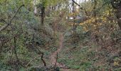 Trail Walking Pontoise - GRP CV-IDF 2023 - Photo 10