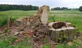 Percorso A piedi Klučenice - NS Na Onen svět - Photo 6