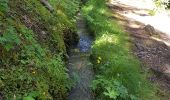 Tour Wandern Ubaye-Serre-Ponçon - 04 - pres col St Jean - Canal de la Pisse. Pre Balou, rocher du Joug, fontaine du Loup - Photo 7