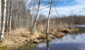 Trail Walking Saint-Germain - les lavoirs - Photo 1