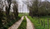 Trail Walking Tongeren - Promenade de la beauté cachée à Lauw  - Photo 9