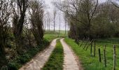 Randonnée Marche Tongres - Promenade de la beauté cachée à Lauw  - Photo 9