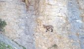 Percorso Marcia Die - Le Glandasse (Abbaye-Comptoir à moutons-Fauchard-Abbaye) - Photo 10