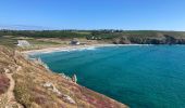 Tocht Stappen Cléden-Cap-Sizun - Pointe du Van - Photo 9