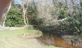 Trail Walking Belz - PR_56_Belz_CA_03_Boucle-Du-Ouerch_Circuit1b_20230224 - Photo 4