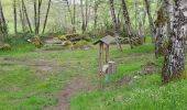 Tocht Stappen Golinhac - golinhac conques  - Photo 5