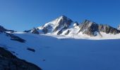 Tocht Stappen Chamonix-Mont-Blanc - reguge de Trient par le col du tour - Photo 2