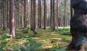 Randonnée Marche Sprimont - dans les bois au nord de Banneux - Photo 15