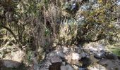 Trail Walking Machachi - Río de Secret Garden - Photo 1