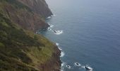 Tour Wandern Machico - Madère : du tunnel de Caniçal à Porto da Cruz - aller en bus - Photo 11