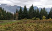 Excursión Senderismo Arâches-la-Frasse - La Grasse les granges, l'Artoche, la combe, les sommaires, retour par la Presse, la mouille - Photo 2