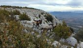 Trail Walking Vauvenargues - La Croix de Provence - Photo 5