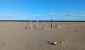 Trail Walking Leucate - leucate . franki plage . leucate - variante - Photo 12