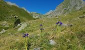 Tour Wandern Arrens-Marsous - Lacs d'Ausseilla - Photo 19