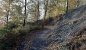 Trail Walking La Louvière - A travers les terrils - Saint Vaast - Bois du Luc - Photo 8