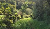 Trail Walking Lentillac-du-Causse - Lantillac du causse - Photo 5