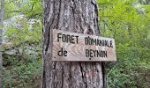 Trail On foot Garde-Colombe - Revuaire - Photo 5