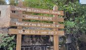 Trail Walking Saint-Vallier-de-Thiey - canau - Photo 3