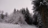 Trail Walking Arches - hiver janvier 2021 - Photo 1