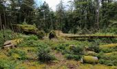 Percorso Marcia Vecoux - circuit vecoux depuis Parking les coucherons passant par 5 chalets - Photo 16