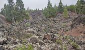 Trail Walking Garachico - Arenas Negras - Photo 11