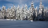 Tocht Sneeuwschoenen Haut Valromey - raquettes chapelle5km6 - Photo 1