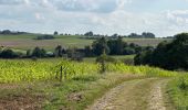 Tour Wandern Assesse - Sart Bernard 22,6 km - Photo 1