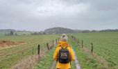 Trail Walking Gouvy - La promenade des bornes frontière - Photo 2