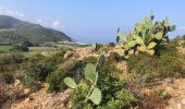 Tocht Stappen Palasca - Randonnée « le Désert des Agriates » Corse - Photo 3
