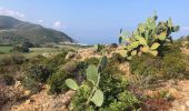 Randonnée Marche Palasca - Randonnée « le Désert des Agriates » Corse - Photo 3