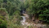 Trail Walking Florac Trois Rivières - GR_70_AJ_10_Florac-3-Rivieres_St-Martin-Lansuscle_20140924 - Photo 2