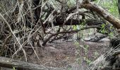 Tour Wandern Sainte-Anne - Quartier ferré vers Cap Chevalier avec modification du parcours en cas de problème à Anse aux bois !  - Photo 14