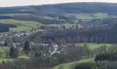 Tocht Stappen Bertrix - rando auby sur semois 14-03-2024 - Photo 3